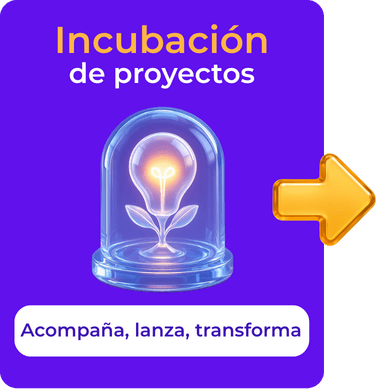 INFOGRAFIA_HACKABOX-2025 (7)